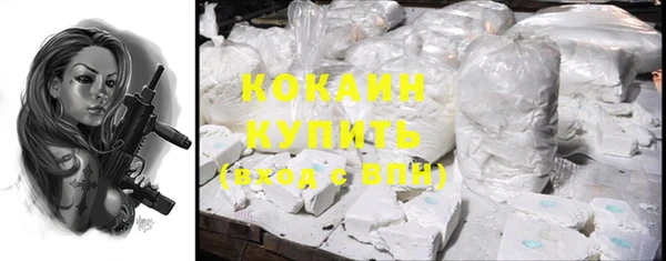 соль ск Алексин